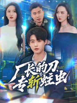 厂长的刀，专斩蛀虫海报