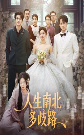 人生南北多歧路海报