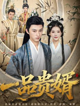 一品贵婿海报