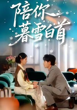 陪你暮雪白首海报