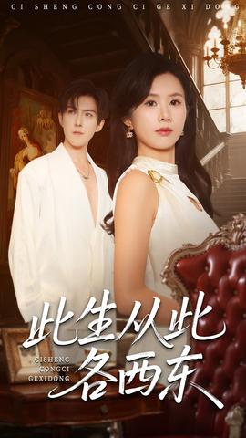此生从此各西东海报