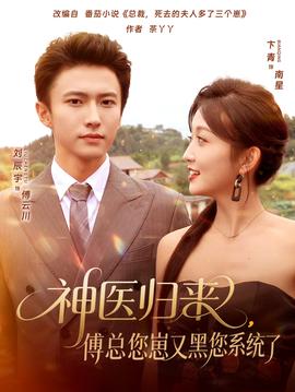 神医归来傅总您崽又黑您系统了海报