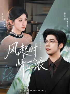 风起时情正浓海报