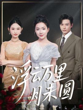 浮云万里月未圆海报