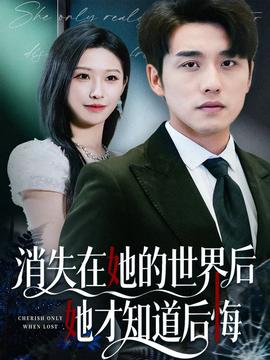 消失在她的世界后她才知道后悔海报