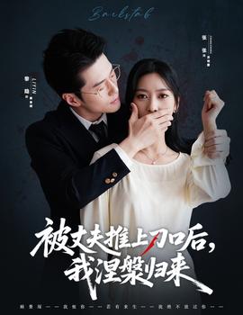 被丈夫推上刀口后，我涅槃归来海报