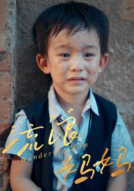 流浪妈妈海报