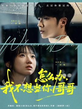 怎么办，我不想当你哥哥海报