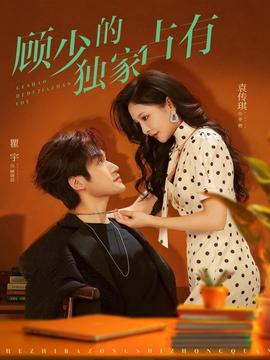 顾少的独家占有海报