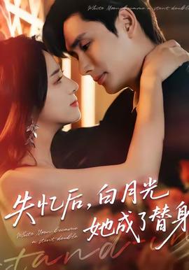 失忆后，白月光她成了替身海报