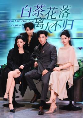 白茶花落离人海报