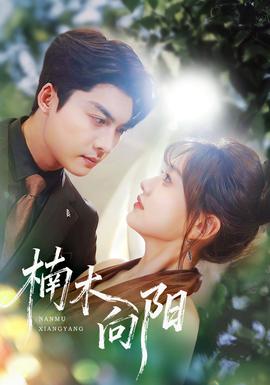 楠木向阳海报