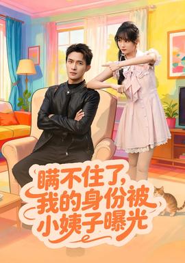 瞒不住了我的身份被小姨子曝光海报