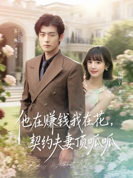 他在赚钱我在花，契约夫妻顶呱呱海报