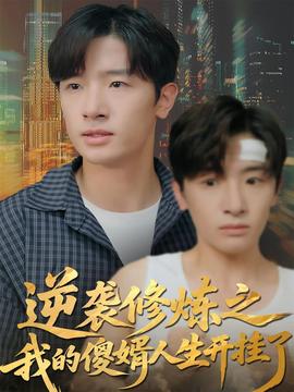 逆袭修炼之我的傻婿人生开挂了海报