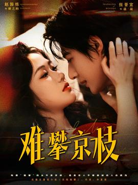 难攀京枝海报