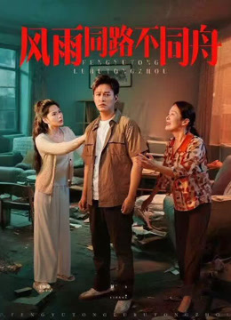 风雨同路不同舟海报