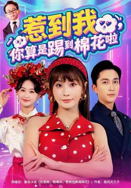 惹到我，你算是踢到棉花啦海报