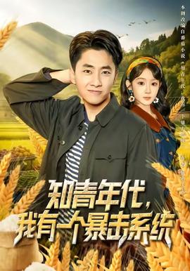 知青年代，我有一个暴击系统海报