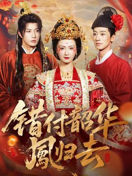 错付韶华凤归去海报