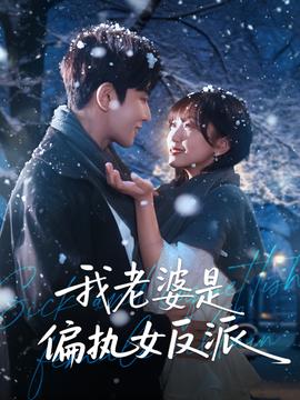 我老婆是偏执女反派海报