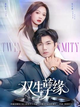 双生孽缘海报