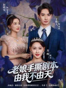 老娘手撕剧本由我不由天海报
