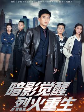 暗影觉醒，烈火重生海报