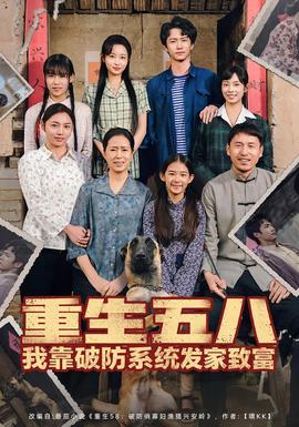 重生五八我靠破防系统发家致富海报