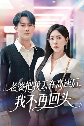 老婆把我丢在高速后，我不再回头海报