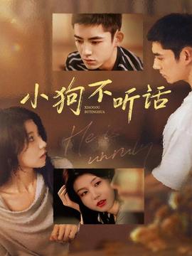 小狗不听话海报