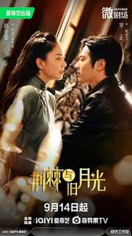 荆棘与月光海报