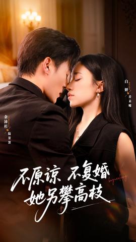 不原谅不复婚她另攀高枝海报