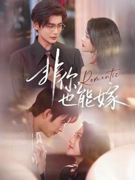 非你，也能嫁海报