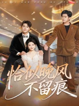 恰似晚风不留痕海报