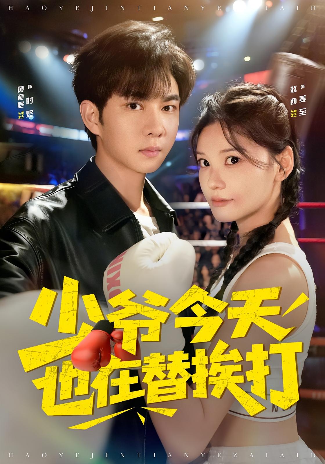 少爷今天也在替挨打海报