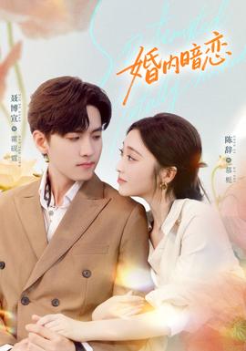 婚内暗恋海报