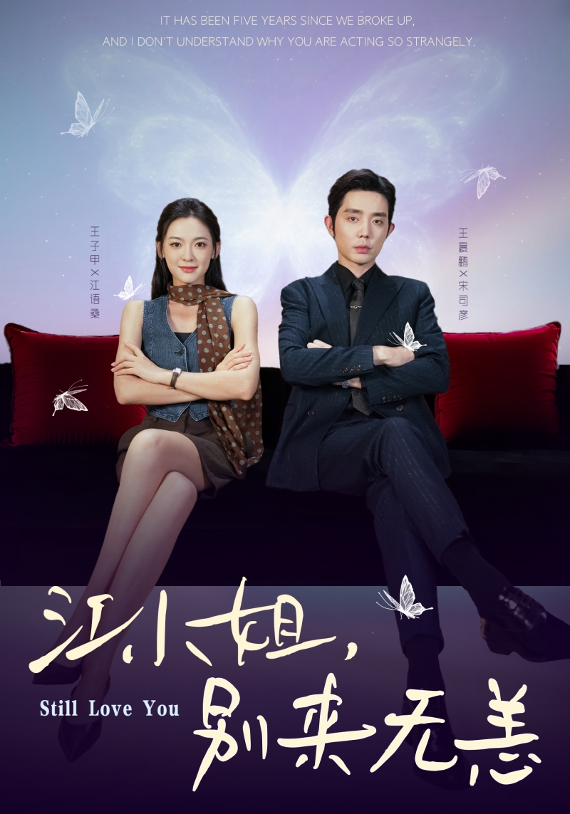 江小姐，别来无恙海报