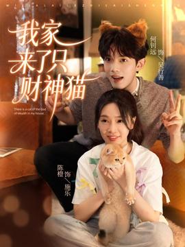 我家来了只财神猫海报