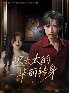 迟太太的华丽转身海报