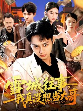 雪城往事，我真没想当大哥海报
