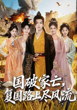 国破家亡，复国路上尽风流海报