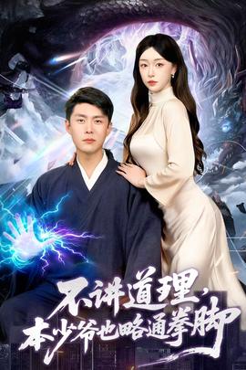 不讲道理，本少爷也略通拳脚海报