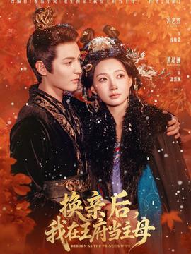 换亲后，我在王府当主母海报