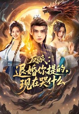 反派退婚你提的现在哭什么海报