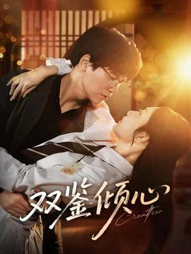 双鉴倾心海报