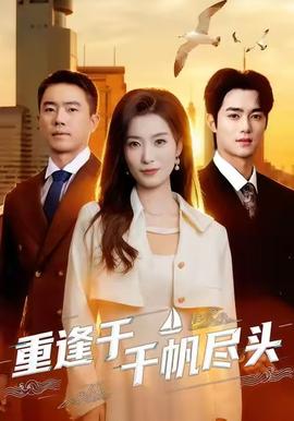 重逢于千帆尽头海报