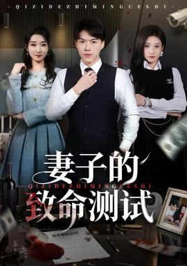 妻子的致命测试海报