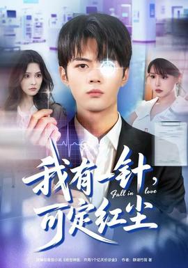 我有一针，可定红尘海报