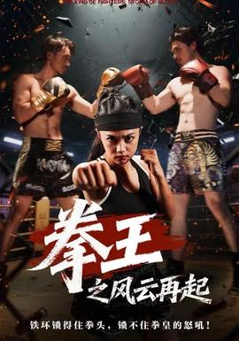 拳王之风云再起海报